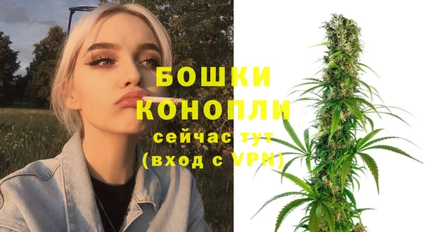 a pvp Новозыбков