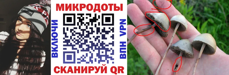 закладка  KRAKEN зеркало  Галлюциногенные грибы Magic Shrooms  Когалым 