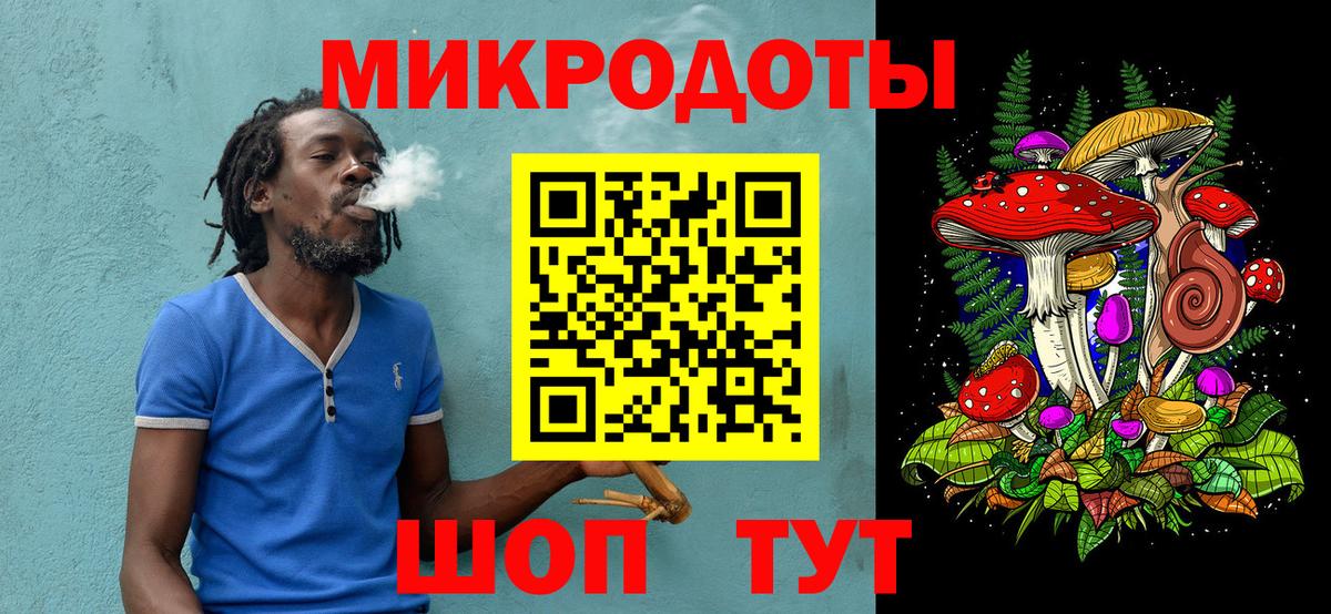 Галлюциногенные грибы Psilocybe Когалым