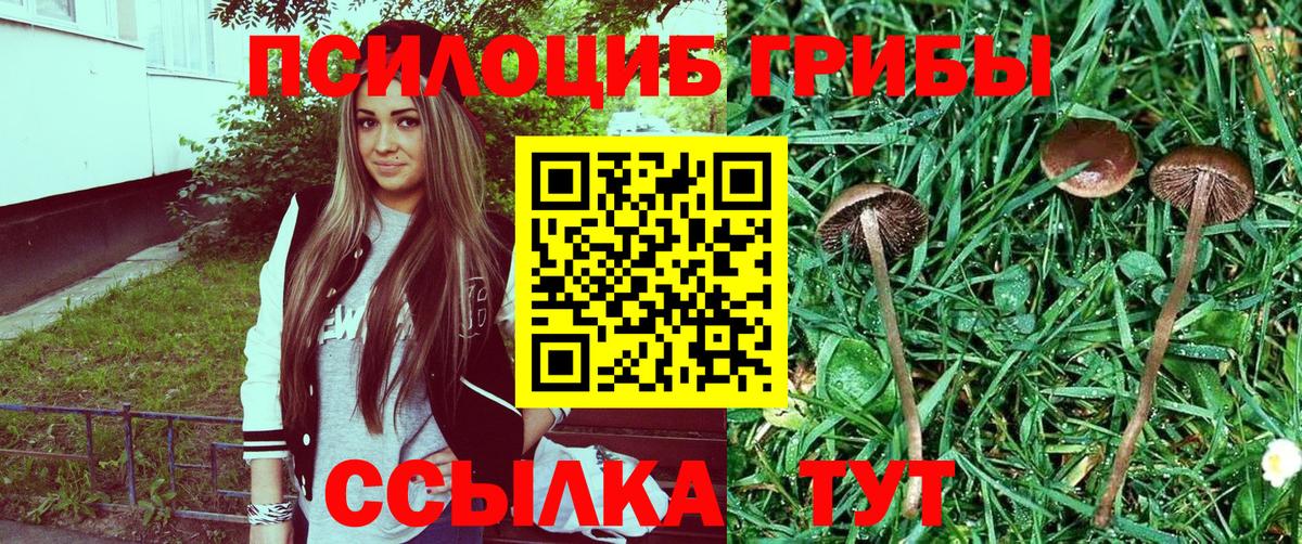 Псилоцибиновые грибы Magic Shrooms  Когалым  Галлюциногенные грибы ЛСД 